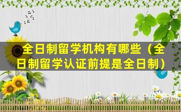 全日制留学机构有哪些（全日制留学认证前提是全日制）