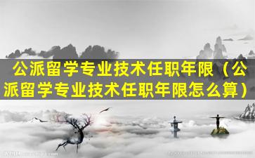 公派留学专业技术任职年限（公派留学专业技术任职年限怎么算）