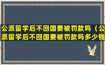 公派留学后不回国要被罚款吗（公派留学后不回国要被罚款吗多少钱）