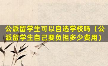 公派留学生可以自选学校吗（公派留学生自己要负担多少费用）