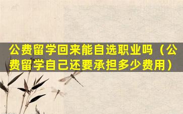 公费留学回来能自选职业吗（公费留学自己还要承担多少费用）