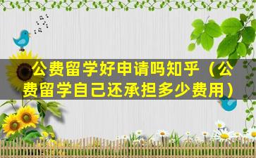 公费留学好申请吗知乎（公费留学自己还承担多少费用）