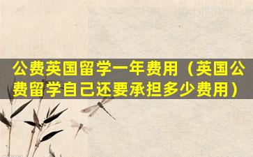 公费英国留学一年费用（英国公费留学自己还要承担多少费用）