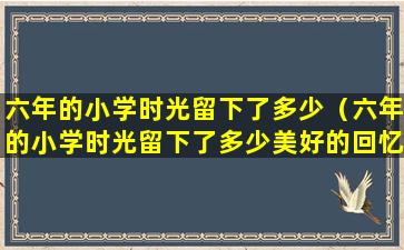 六年的小学时光留下了多少（六年的小学时光留下了多少美好的回忆你想对谁说些什么）