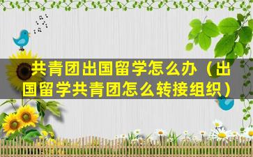 共青团出国留学怎么办（出国留学共青团怎么转接组织）