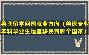 兽医留学回国就业方向（兽医专业本科毕业生适宜移民到哪个国家）