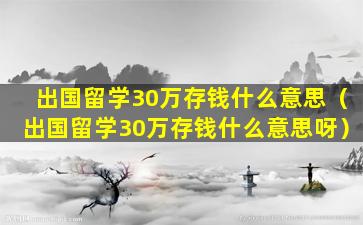 出国留学30万存钱什么意思（出国留学30万存钱什么意思呀）