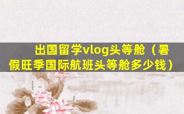 出国留学vlog头等舱（暑假旺季国际航班头等舱多少钱）