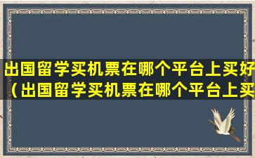 出国留学买机票在哪个平台上买好（出国留学买机票在哪个平台上买好一点）