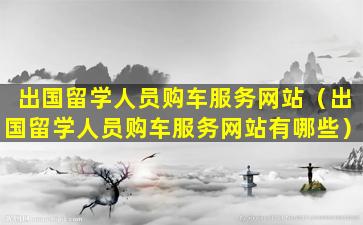 出国留学人员购车服务网站（出国留学人员购车服务网站有哪些）
