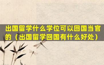 出国留学什么学位可以回国当官的（出国留学回国有什么好处）