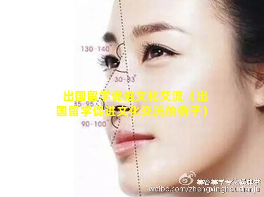 出国留学促进文化交流（出国留学促进文化交流的例子）