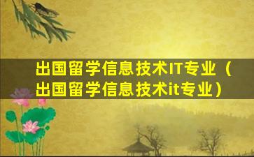 出国留学信息技术IT专业（出国留学信息技术it专业）