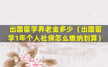出国留学养老金多少（出国留学1年个人社保怎么缴纳划算）