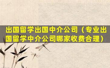 出国留学出国中介公司（专业出国留学中介公司哪家收费合理）