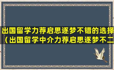 出国留学力荐启思逐梦不错的选择（出国留学中介力荐启思逐梦不二之选）