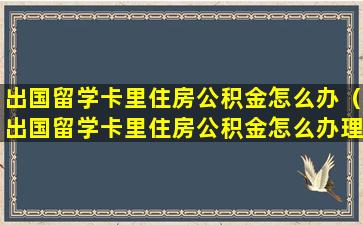 出国留学卡里住房公积金怎么办（出国留学卡里住房公积金怎么办理手续）