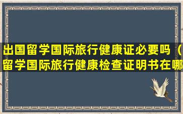 出国留学国际旅行健康证必要吗（留学国际旅行健康检查证明书在哪里办）