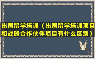 出国留学培训（出国留学培训项目和战略合作伙伴项目有什么区别）