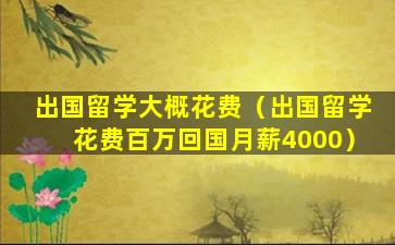 出国留学大概花费（出国留学花费百万回国月薪4000）