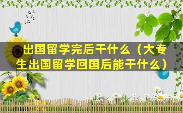 出国留学完后干什么（大专生出国留学回国后能干什么）