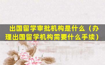 出国留学审批机构是什么（办理出国留学机构需要什么手续）