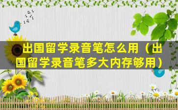 出国留学录音笔怎么用（出国留学录音笔多大内存够用）