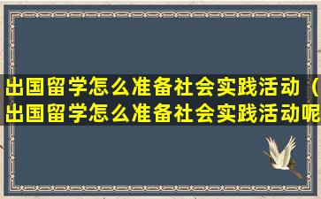 出国留学怎么准备社会实践活动（出国留学怎么准备社会实践活动呢）