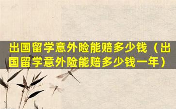 出国留学意外险能赔多少钱（出国留学意外险能赔多少钱一年）