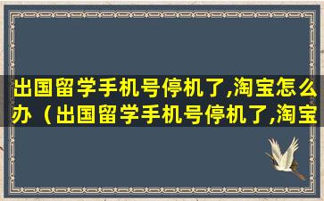 出国留学手机号停机了,淘宝怎么办（出国留学手机号停机了,淘宝怎么办理）