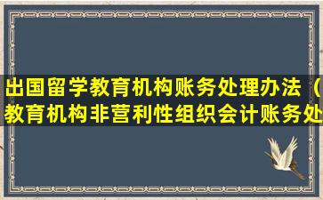 出国留学教育机构账务处理办法（教育机构非营利性组织会计账务处理办法）