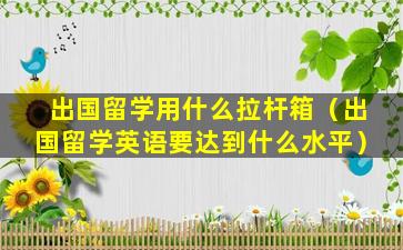 出国留学用什么拉杆箱（出国留学英语要达到什么水平）