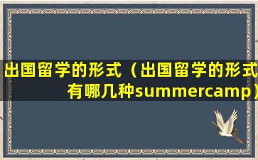 出国留学的形式（出国留学的形式有哪几种summercamp）