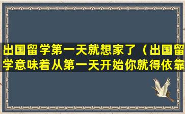 出国留学第一天就想家了（出国留学意味着从第一天开始你就得依靠自己）