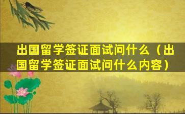 出国留学签证面试问什么（出国留学签证面试问什么内容）