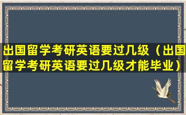 出国留学考研英语要过几级（出国留学考研英语要过几级才能毕业）
