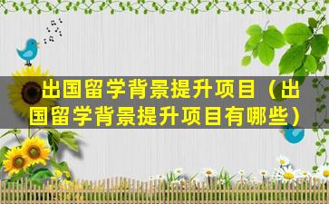 出国留学背景提升项目（出国留学背景提升项目有哪些）