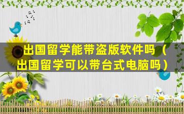 出国留学能带盗版软件吗（出国留学可以带台式电脑吗）