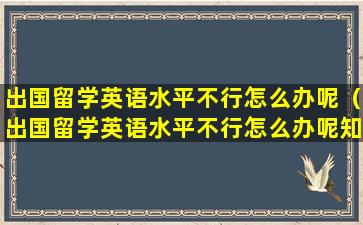 出国留学英语水平不行怎么办呢（出国留学英语水平不行怎么办呢知乎）