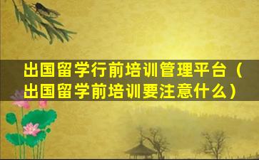 出国留学行前培训管理平台（出国留学前培训要注意什么）