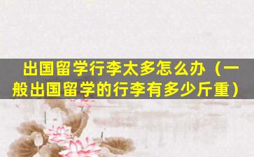 出国留学行李太多怎么办（一般出国留学的行李有多少斤重）