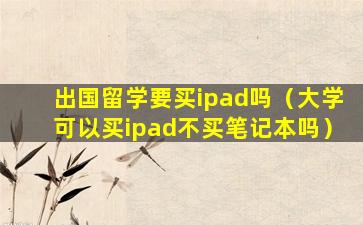 出国留学要买ipad吗（大学可以买ipad不买笔记本吗）
