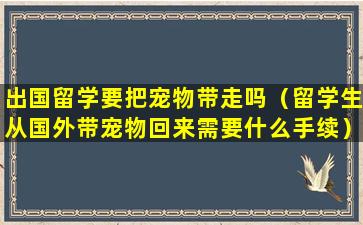 出国留学要把宠物带走吗（留学生从国外带宠物回来需要什么手续）