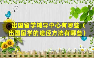 出国留学辅导中心有哪些（出国留学的途径方法有哪些）