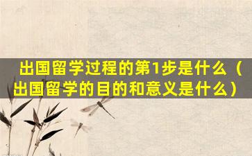 出国留学过程的第1步是什么（出国留学的目的和意义是什么）