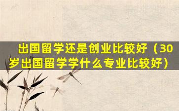 出国留学还是创业比较好（30岁出国留学学什么专业比较好）