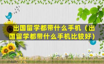 出国留学都带什么手机（出国留学都带什么手机比较好）
