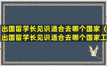 出国留学长见识适合去哪个国家（出国留学长见识适合去哪个国家工作）