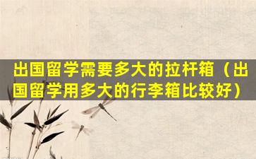 出国留学需要多大的拉杆箱（出国留学用多大的行李箱比较好）