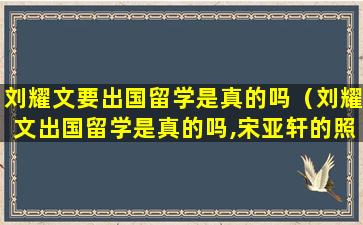 刘耀文要出国留学是真的吗（刘耀文出国留学是真的吗,宋亚轩的照片）